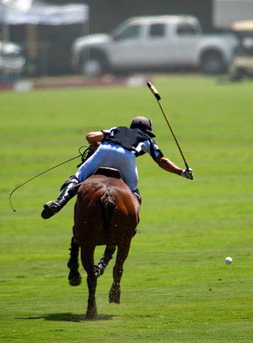 Polo Player and Spectator