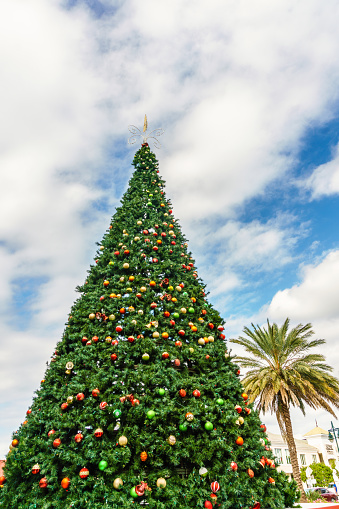 Decorated christmas tree in tropical setting with palm tree in background.