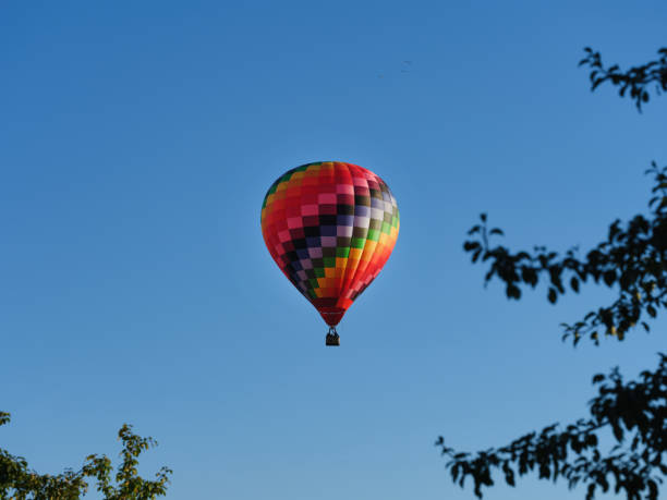 istock Colorful hot air balloon flying through the blue sky 1423073064