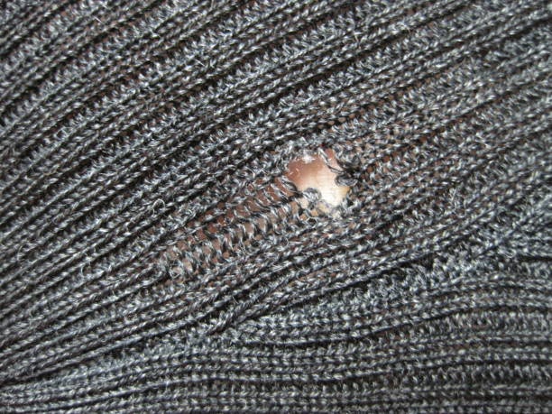 istock Sweater with holes eaten by insects 1423073315