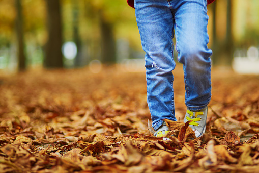 Preschooler girl or boy walking and kicking fallen leaves on a fall day. Happy child enjoying autumn day. Outdoor autumn activities for kids