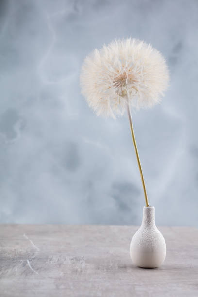 Abstract dandelion macro flower background. Seed macro closeup. Soft focus