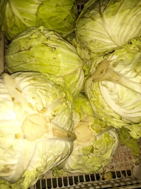 Photo of Cabbage is sold at a staple food stall