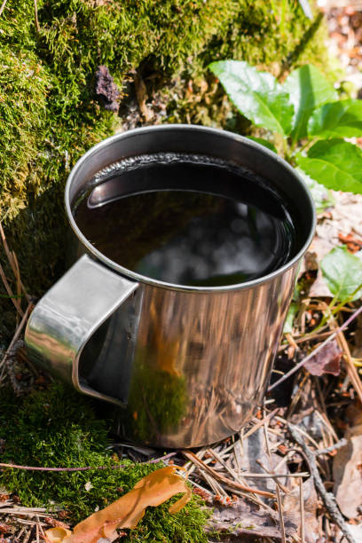 istock a mug of tea in the forest on an old stump with moss 1423086723