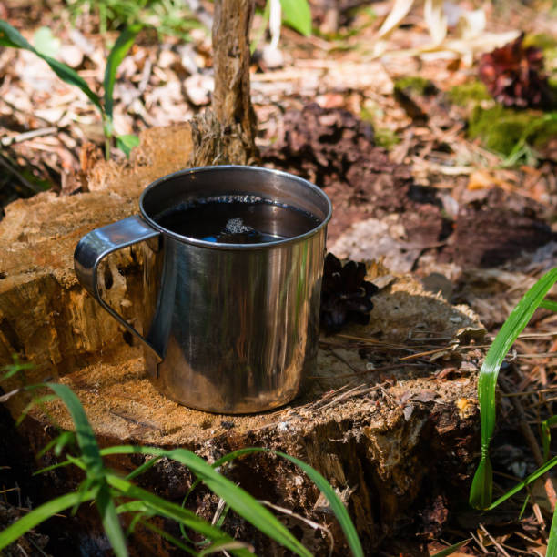 istock a mug of tea on an old stump with moss and cones 1423086774