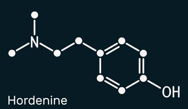 хорденин, класс диметилтирамин, молекула. это алкалоид фенэтиламин, натуральный продукт. скелетная химическая формула на темно-синем фоне - phenethylamine stock illustrations