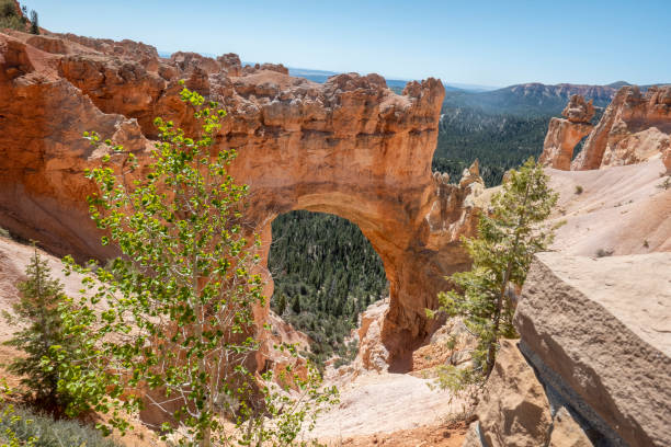 istock Scenic view to Bryce Canyon rocks 1423090227