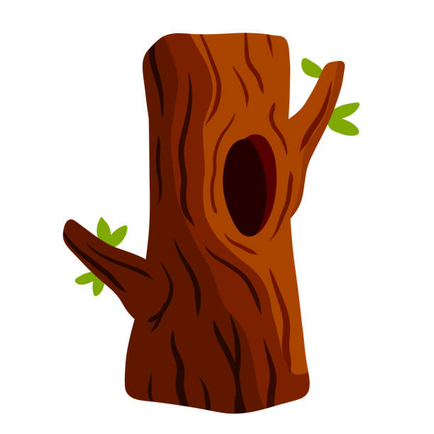 drzewo z zagłębieniem. drewno z otworem. brązowa kora rośliny. - tree hole bark brown stock illustrations
