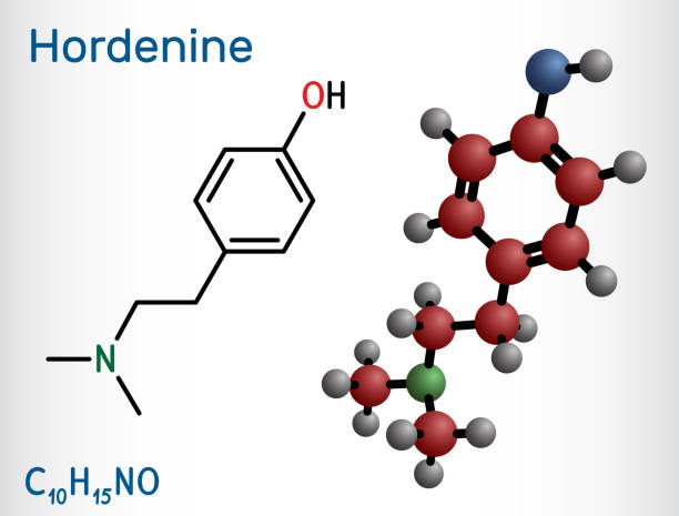 хорденин, класс диметилтирамин, молекула. это алкалоид фенэтиламин, натуральный продукт. структурная химическая формула и модель молекулы. - phenethylamine stock illustrations
