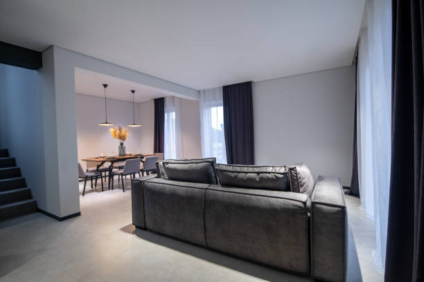istock Lounge and dining area in a modern studio apartment 1423091934