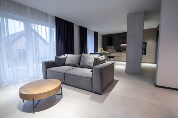istock Lounge adjoining the dining area in the minimalist studio apartment 1423091942