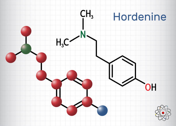 illustrazioni stock, clip art, cartoni animati e icone di tendenza di ordenina, classe dimetiltiramina, molecola. è alcaloide fenetilammina, prodotto naturale. formula chimica strutturale e modello molecolare. foglio di carta in una gabbia - phenethylamine