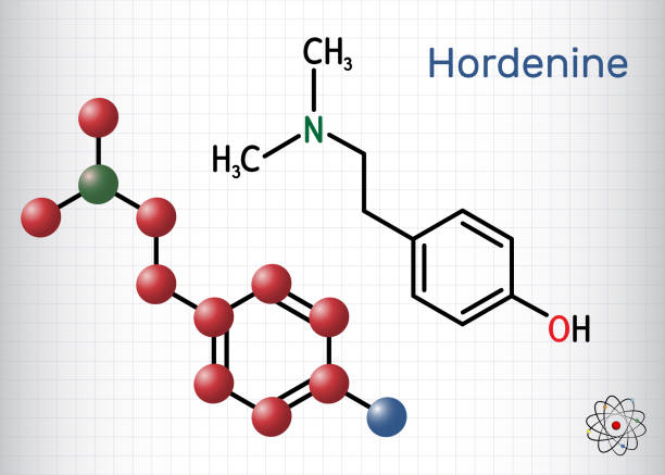 хорденин, класс диметилтирамин, молекула. это алкалоид фенэтиламин, натуральный продукт. структурная химическая формула и модель молекулы. - phenethylamine stock illustrations