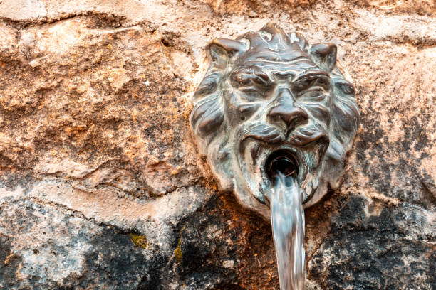 Stream of fresh water coming out of the lion-shaped metal faucet