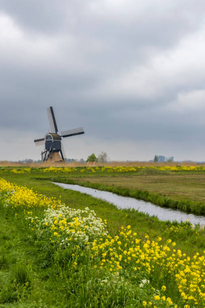 Windmill Broekmolen, Molenlanden - Nieuwpoort, The Netherlands stock photo