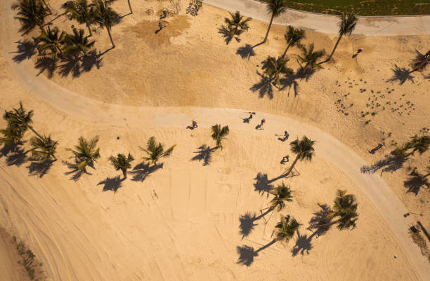 istock Workers cleaning a road covered by sand 1423097451