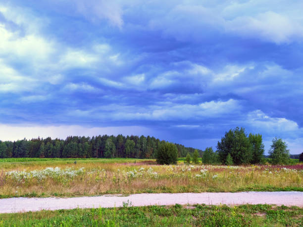 Clouds over the forest near the field road