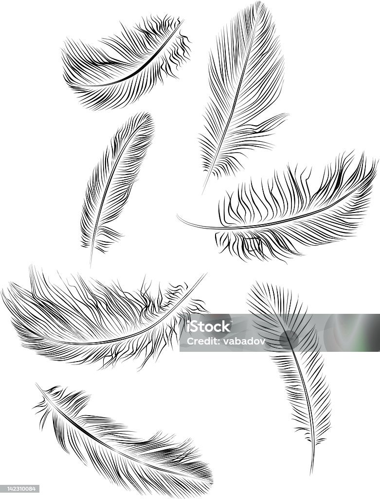 Black and white feather illustrations Set of seven vector feathers Animal Body Part stock vector