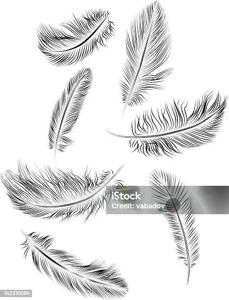 Black And White Feather Illustrations Stock Illustration - Download Image Now - Animal Body Part, Animal Wing, Art