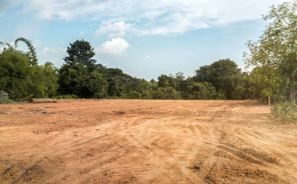 istock Empty dry cracked swamp reclamation soil, land plot for housing construction project with car tire print in rural area and beautiful blue sky. 1423106375