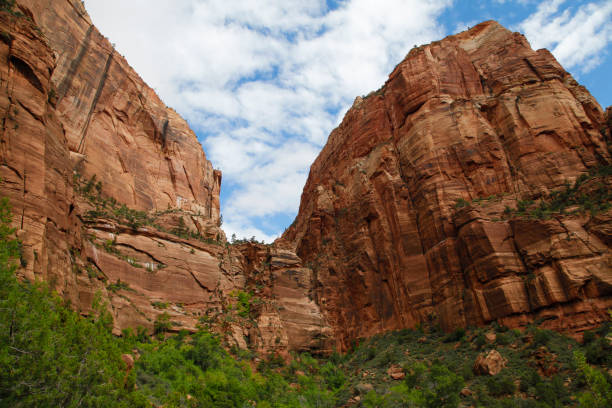 istock Towering, impressive red rock formations at Zion National Park 1423109370