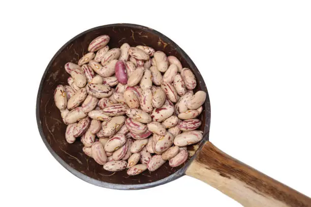Phaseolus vulgaris is the scientific name for the sugar bean legume. Also known as Brindle Beans or Frijol Canaval. In a wooden spoon made with coconut shell, craft, on white background, top view.