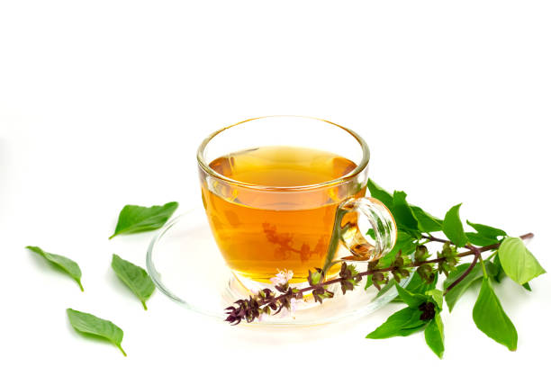 透明なカップにバジルティー。 - tea cup tea cup herbal medicine ストックフォトと画像