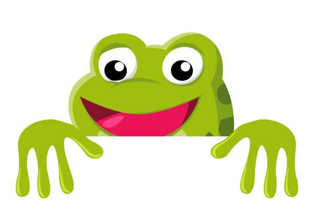 Funny cartoon of a frog peeking from behind the wall vector art illustration