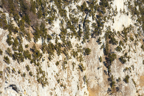 Dry cliff at Creux du Van, Neuchatel, Switzerland