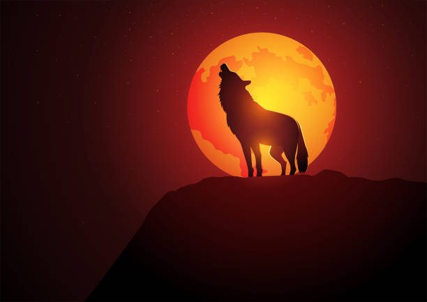満月のオオカミの遠吠え - wolf coyote howling dog点のイラスト素材／クリップアート素材／マンガ素材／アイコン素材