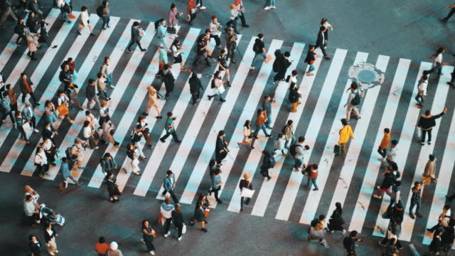 Shibuya crowd people walking the zebra crossing