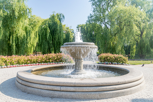 A fountain in the park, from which water trickles into a small pool, in the background is green mowed grass and trees