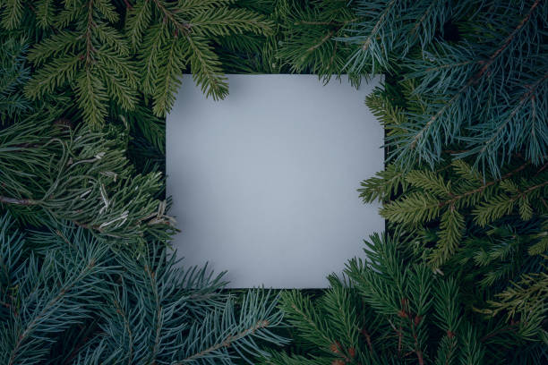 istock Creative christmas mock-up of pine and juniper branches with a white blank card. 1423122429