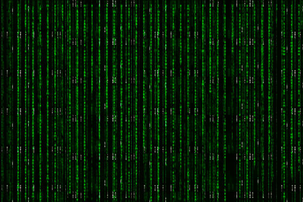 Computer Coding With Matrix 1.200+ The Matrix Stok Fotoğrafları, Resimler ve Royalty-Free Görseller ...