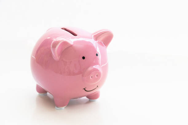 a close up to a isolated piggy bank on a white background. - endollarsmynt kanadensiskt mynt bildbanksfoton och bilder