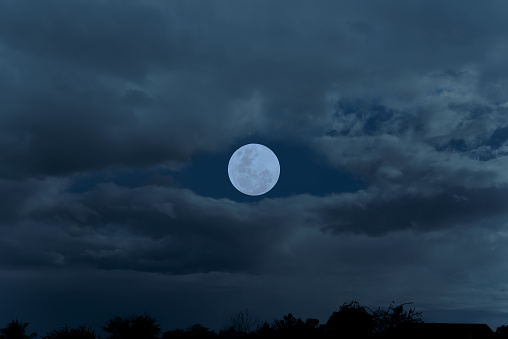 Full moon raising over treeline horizon