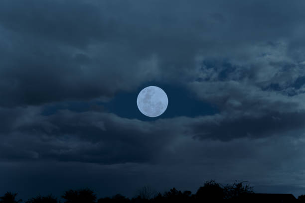 Photo of Full moon on sky with clouds and tree branch silhouette in the night.