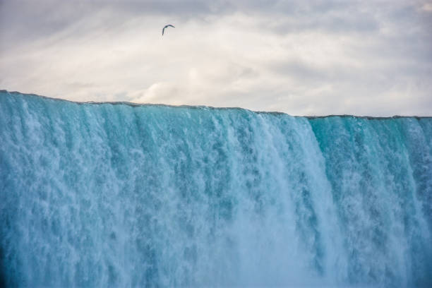 aves volando sobre cascada - large waterfall fotografías e imágenes de stock