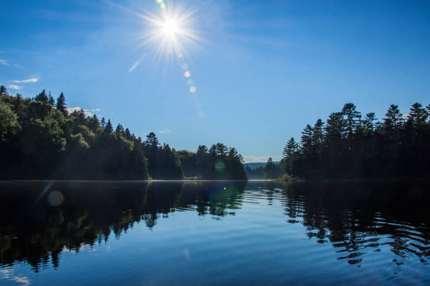 istock Sunset at a lake with reflection of trees 1423135372