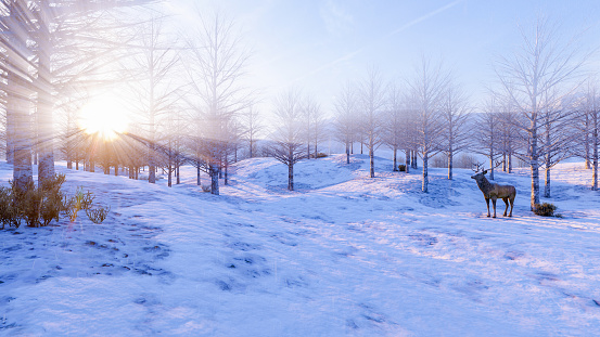 Arctic landscape scene, morning sunrise in snow forest with stag in snow field, 3d rendering