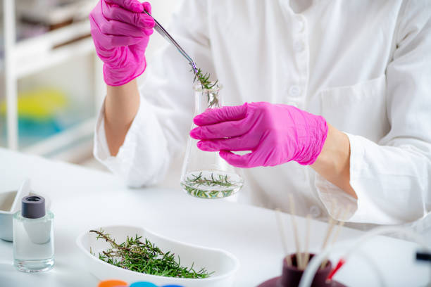 istock Aromacology Expert Preparing Flask with Fragrance Ingredients 1423136384