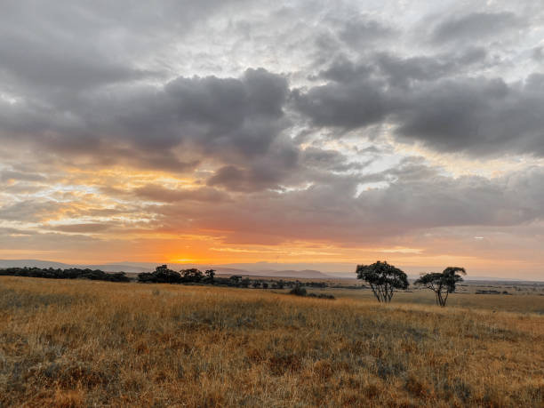 bellissimo tramonto nella riserva nazionale maasai mara in kenya - masai mara national reserve sunset africa horizon over land foto e immagini stock