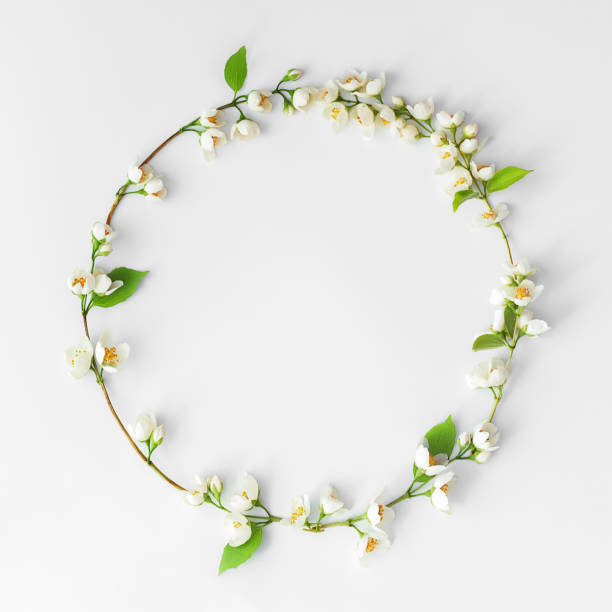 floral spring layout on a white background. wreath of jasmine flowers. top view - coroa de flores imagens e fotografias de stock