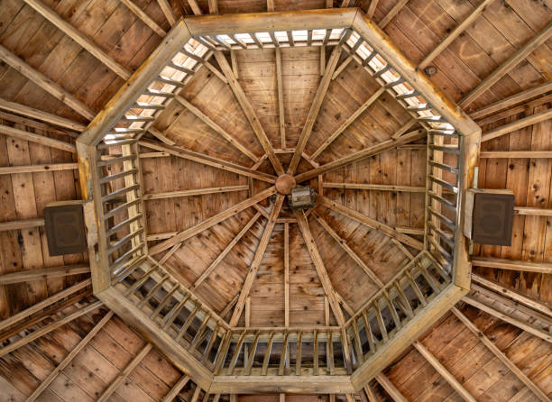 istock Inside of wooden canary 1423151957