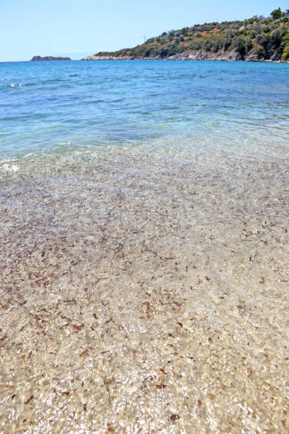 istock Klimaki beach at Euboea island Greece 1423154216