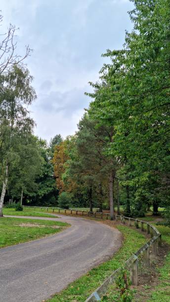 istock A walk in the woods. 1423154640