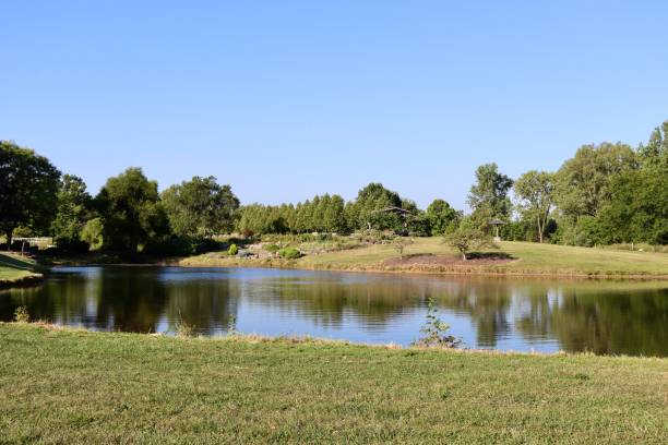 istock Peaceful Countryside Pond 1423155561