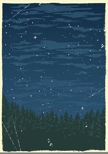 Night landscape vintage flyer colorful with fir trees in coniferous forest under space starry sky grunge retro style vector illustration