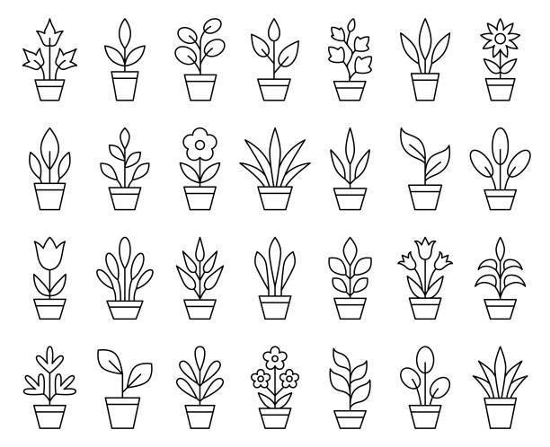 ilustrações, clipart, desenhos animados e ícones de vasos de plantas - bush flower pot tree flower