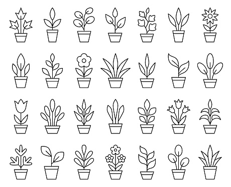 Set of simple icons of house plants in pots.